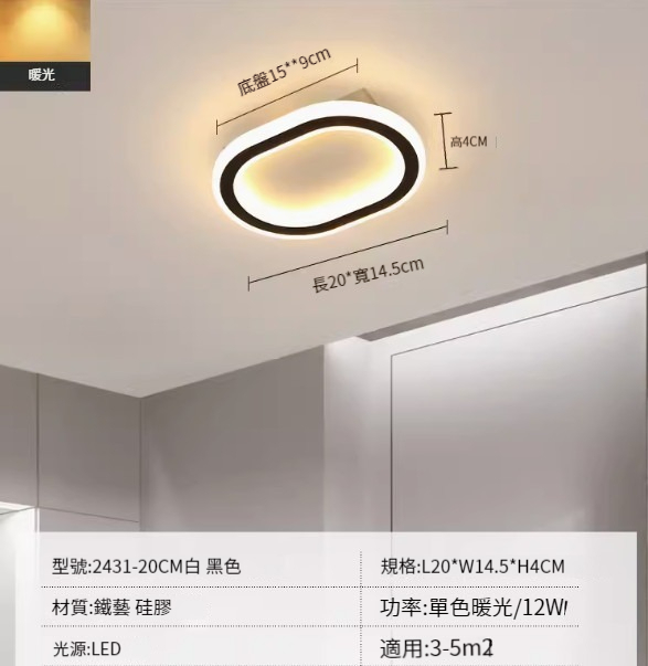 Hot recommended LED ceiling lamp [2431-black 20cm-12W-monochrome warm light]