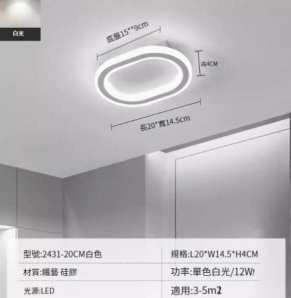 Hot recommended LED ceiling lamp [2431-white 20cm-12W-monochrome white light]