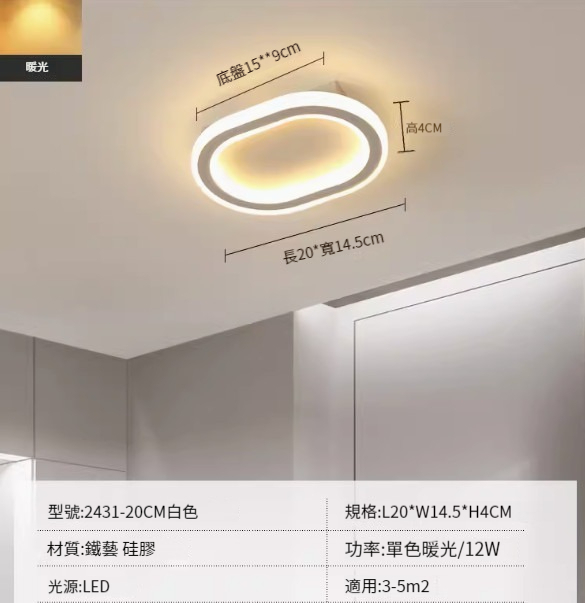 Hot recommended LED ceiling lamp [2431-white 20cm-12W-monochrome warm light]