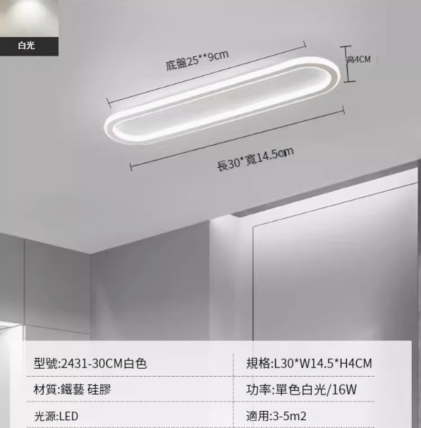Hot recommended LED ceiling lamp [2431-white 30cm-16W-monochrome white light]