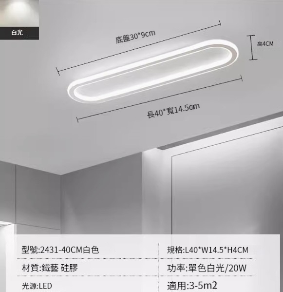 Hot recommended LED ceiling lamp [2431-white 40cm-20W-monochrome white light]