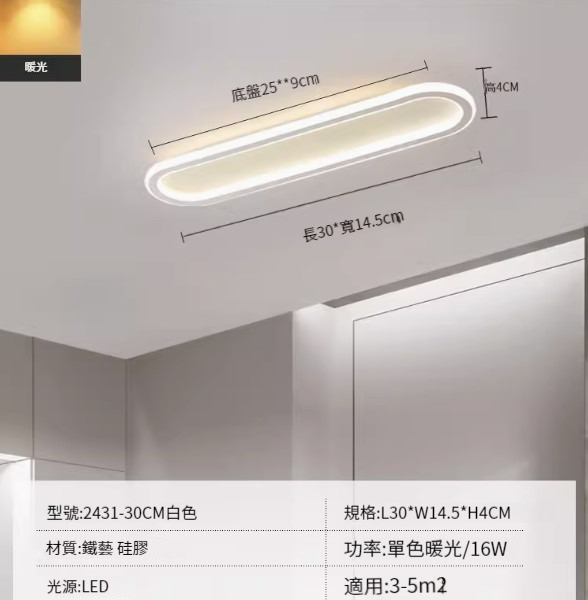 Hot recommended LED ceiling lamp [2431-white 30cm-16W-monochrome warm light]