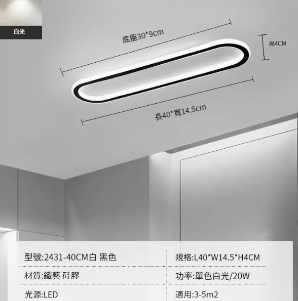 Hot recommended LED ceiling lamp [2431-black 40cm-20W-monochrome white light]