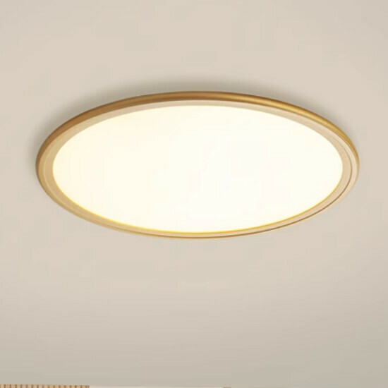 Hot recommended simple indoor living room and bedroom lighting fixtures ceiling lamp (golden round [23CM] white light)