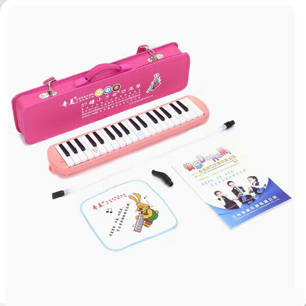 Hot Recommended Mouth Organ (37 Keys Pink (Little Talent Canvas Hard Case))