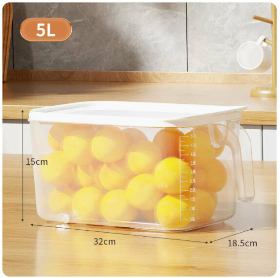 熱推冰櫃收納盒【1個裝】【5L中號加厚】