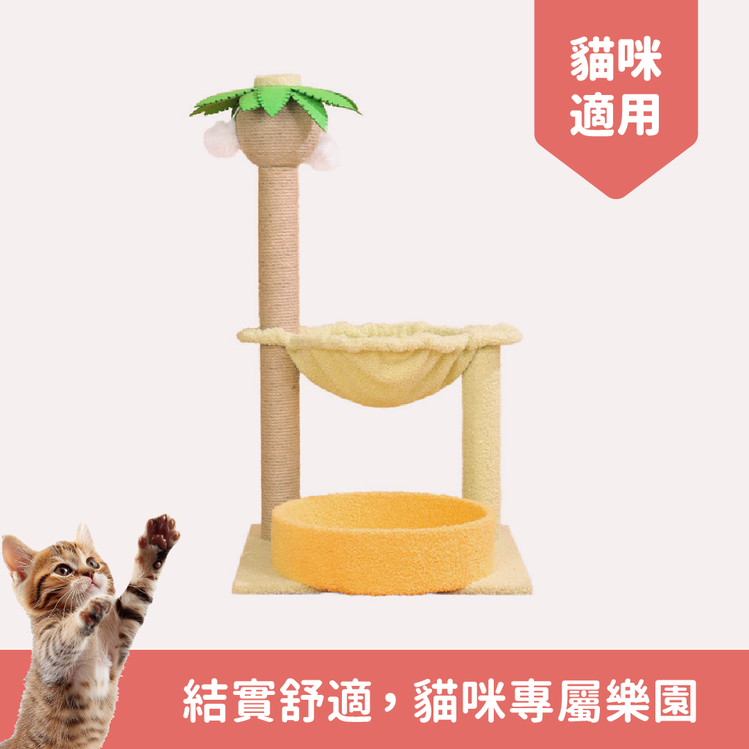【造型貓跳台】 椰子樹實木麻繩貓跳台  貓爬架