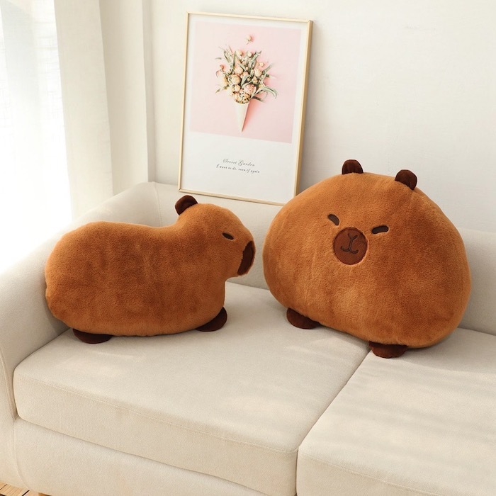 《62922》水豚君抱枕沙發靠墊