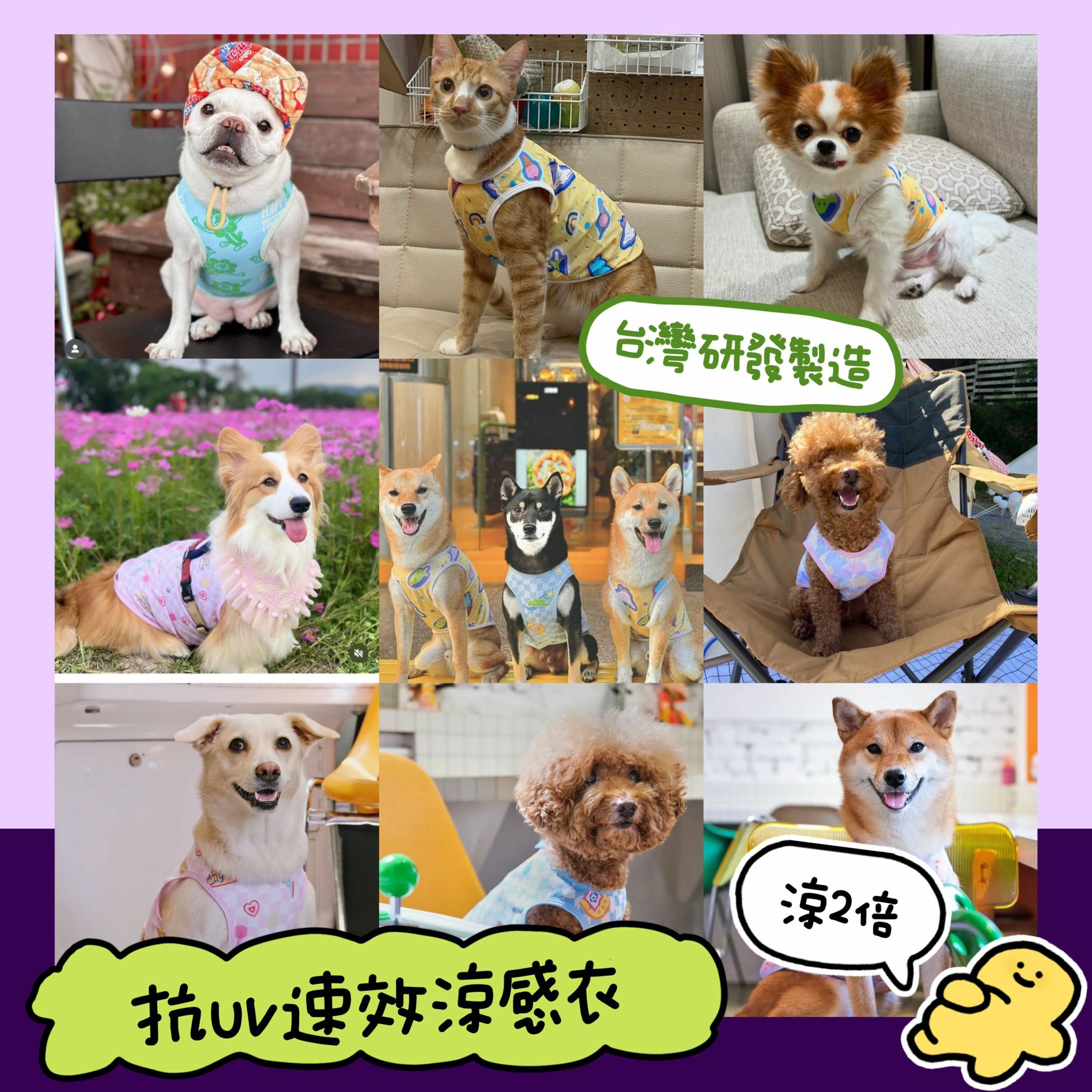 夏天極推薦**抗UV速效涼感衣｜台灣製造 預定需等14日