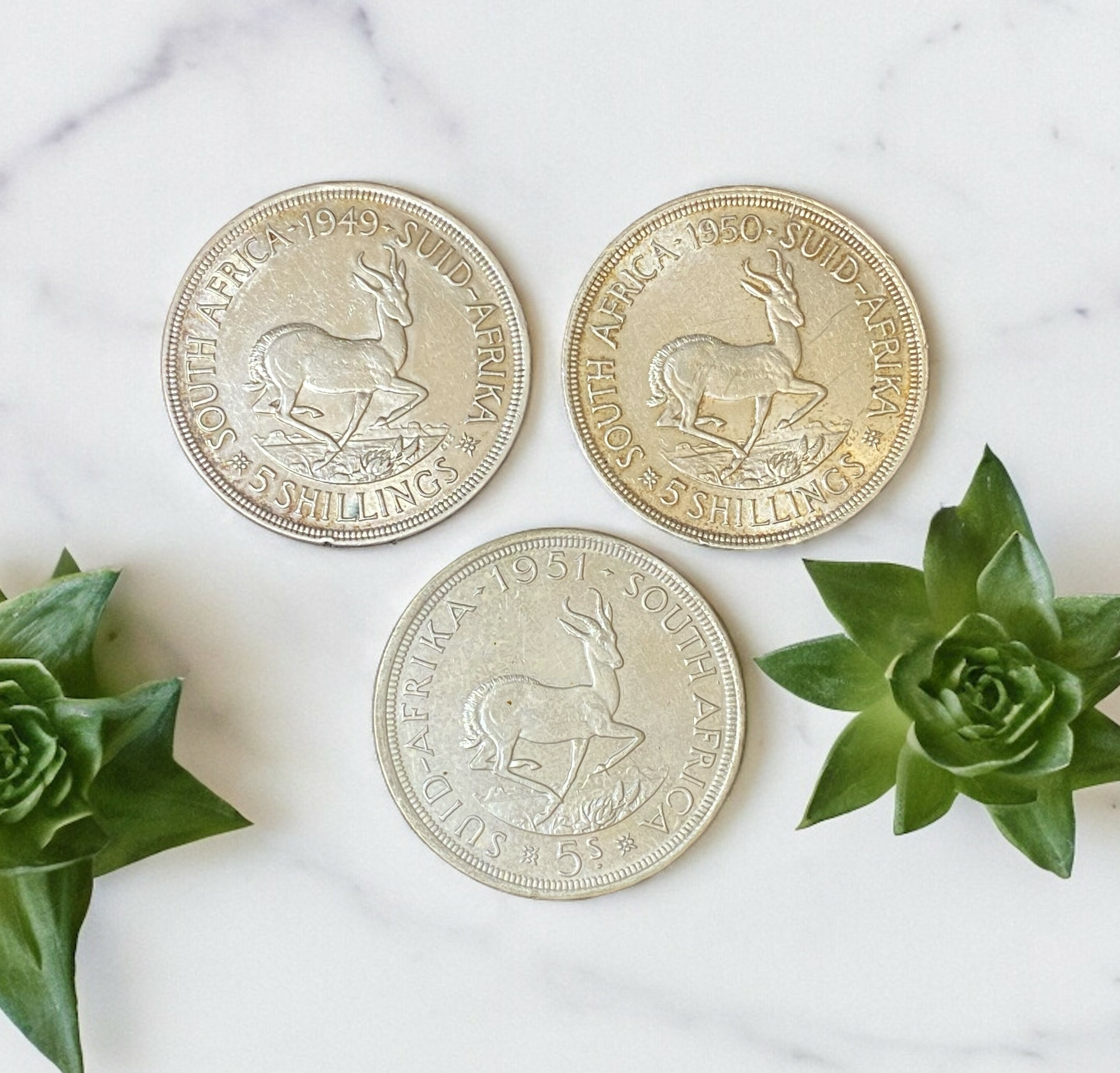 1949-1951 South Africa George VI 5 shillings silver coins, set of 3