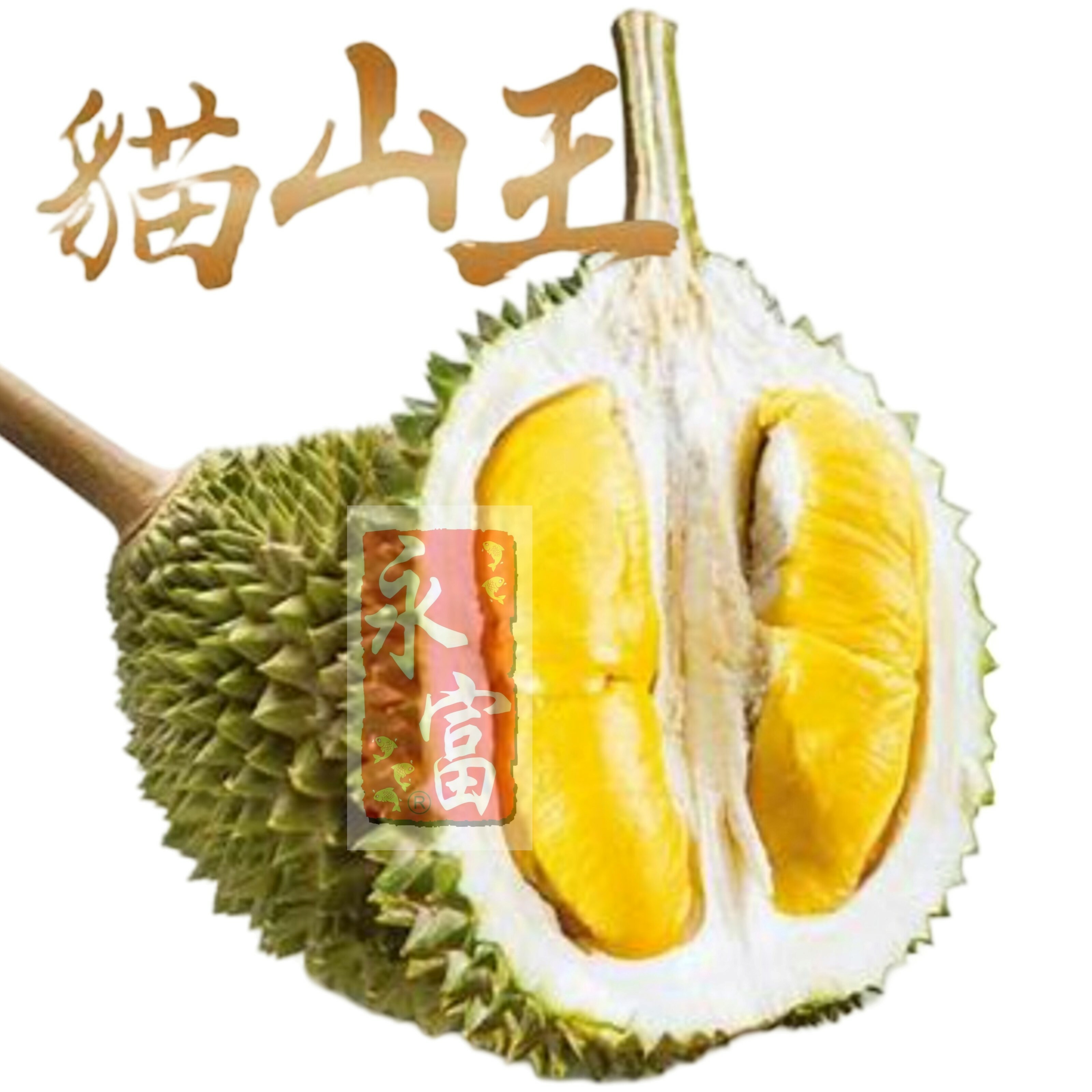 馬來西亞貓山王榴槤(約5-6磅)