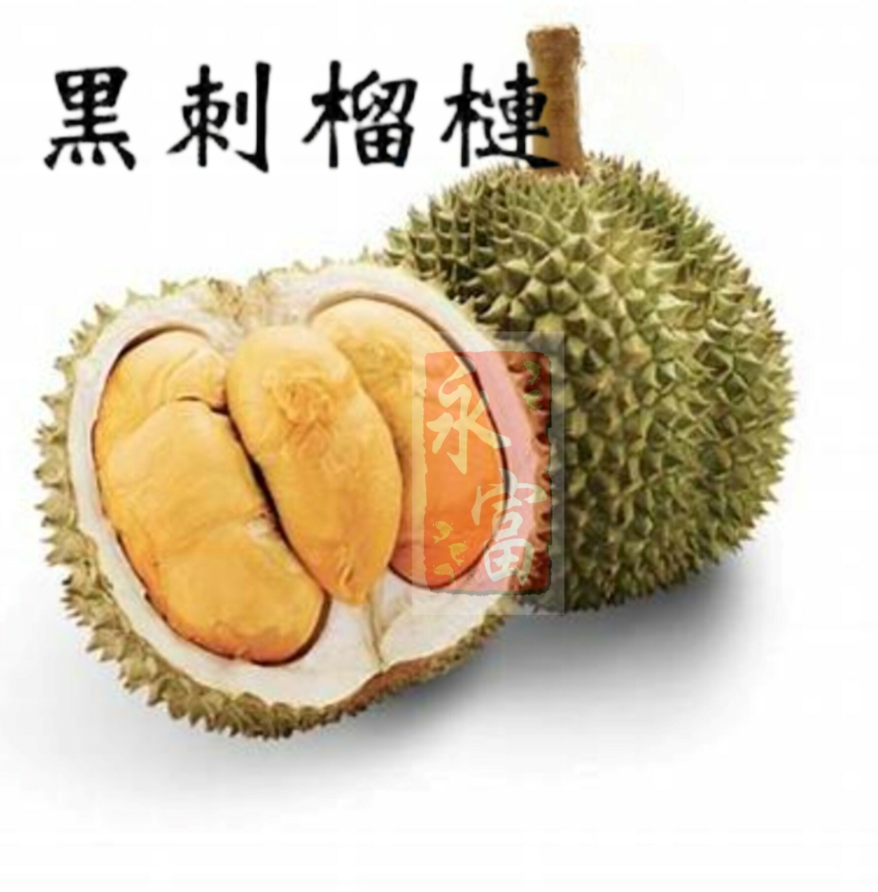 馬來西亞黑刺榴槤(約4-5磅)