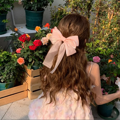 [2 FOR RM10] Fairy-Like Sparkling Ribbon Hair Clip