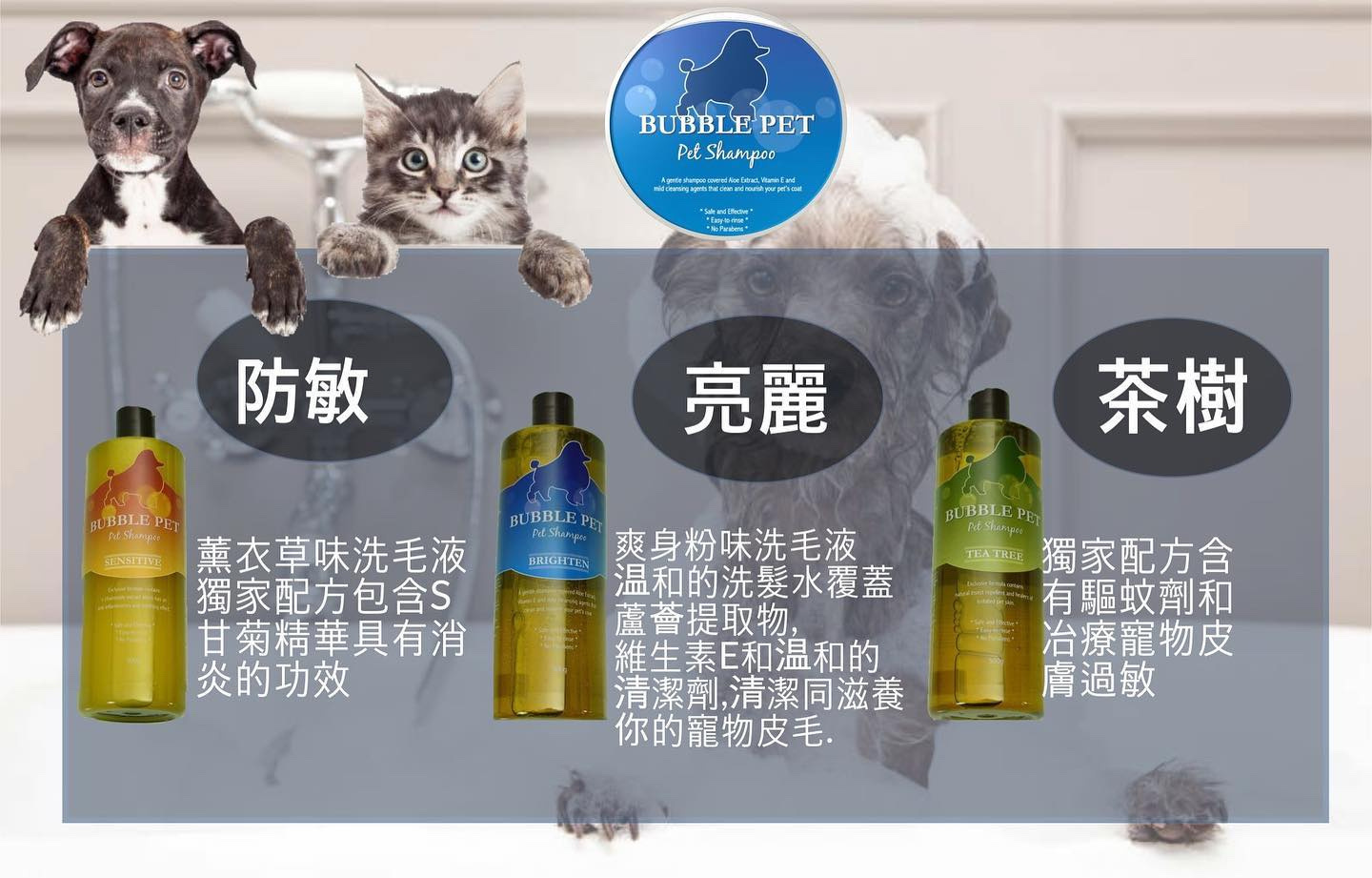 BUBBLE PET 貓狗冲涼液 (防敏/亮麗/茶樹 配方) 500g / 1加倫