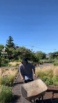 夏季CN雙褶氣球寬鬆短褲