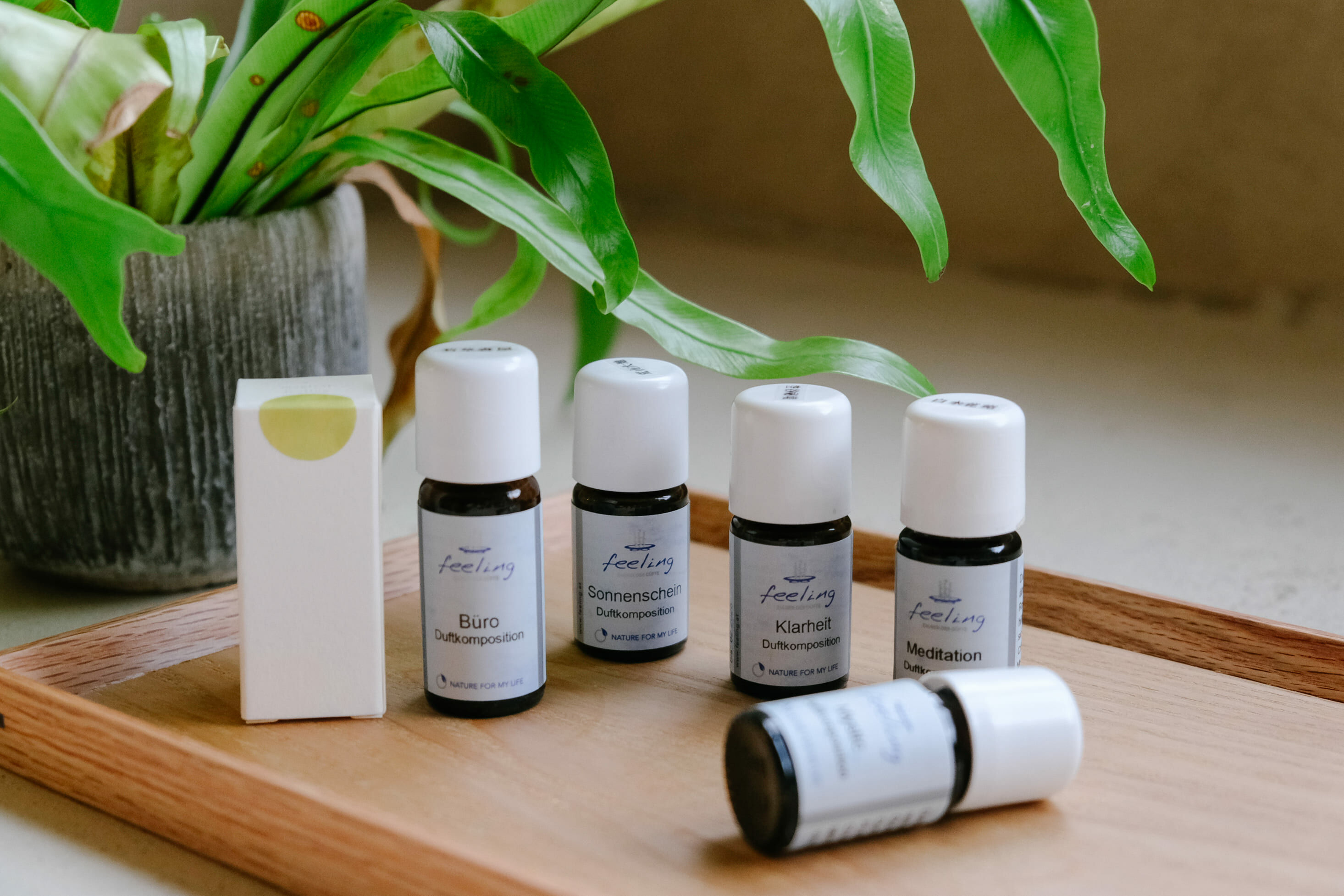 課程} 夏日香氣創作 [複方精油專題] ——— 荒．涼風花．微笑果草