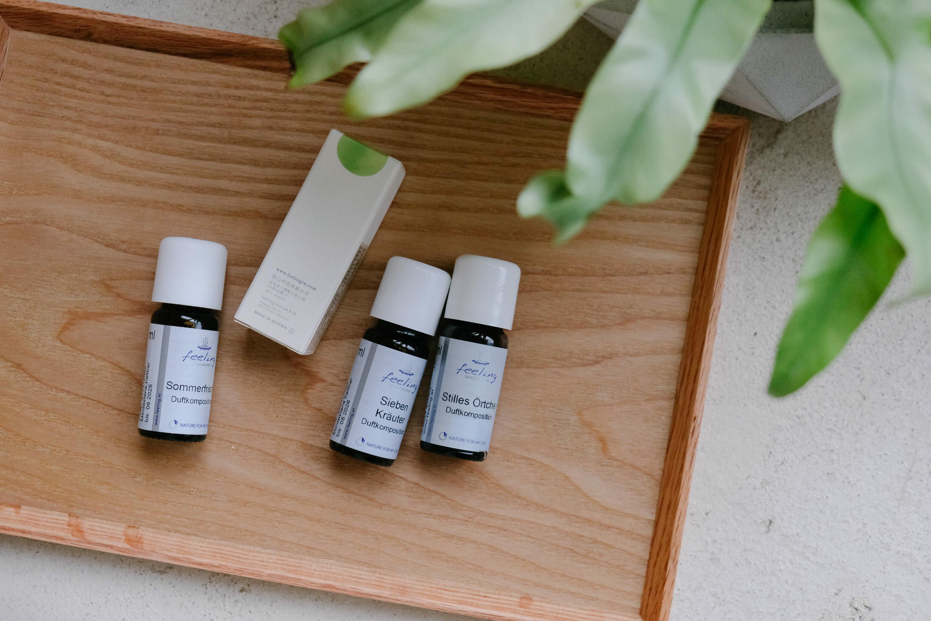 課程} 夏日香氣創作 [複方精油專題] ——— 荒．涼風花．微笑果草