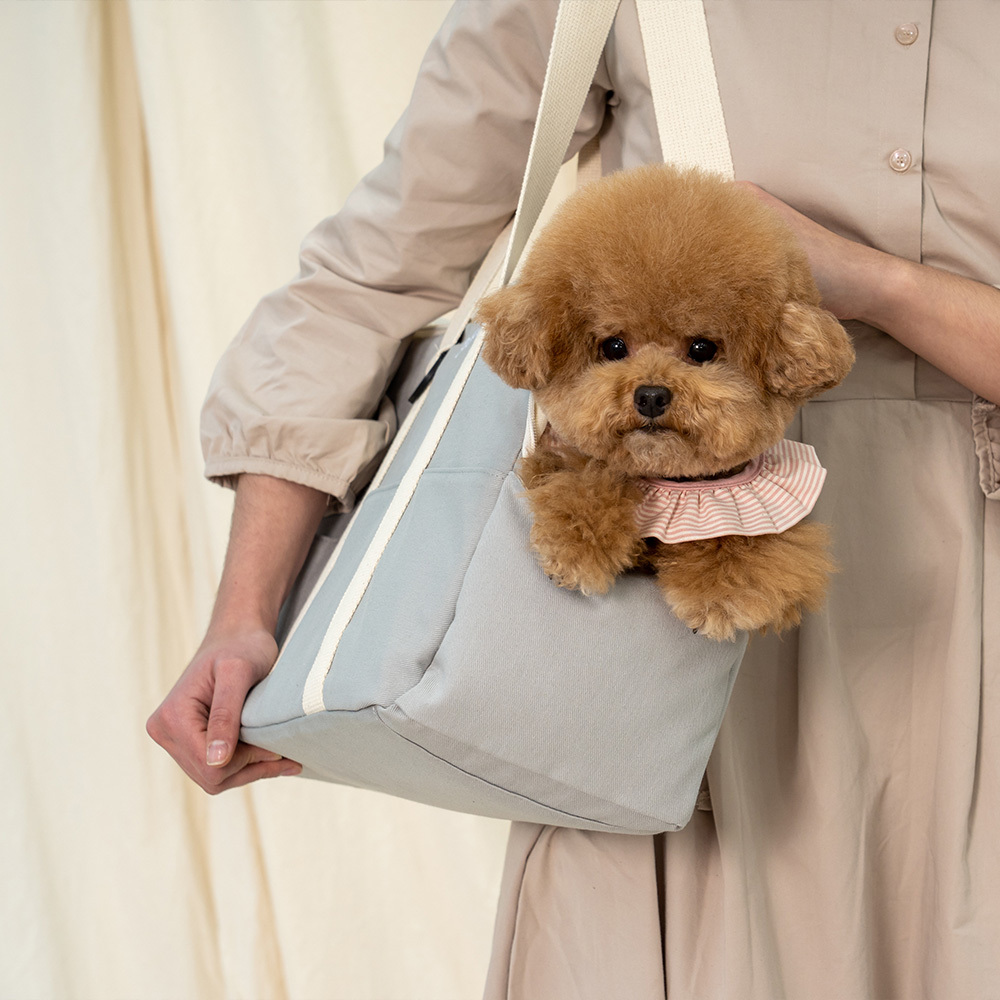 【PUPPING】韓國寵物攜帶包 外出包 - 灰色