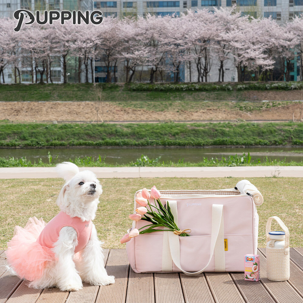 【PUPPING】韓國寵物攜帶包 外出包 - 粉色