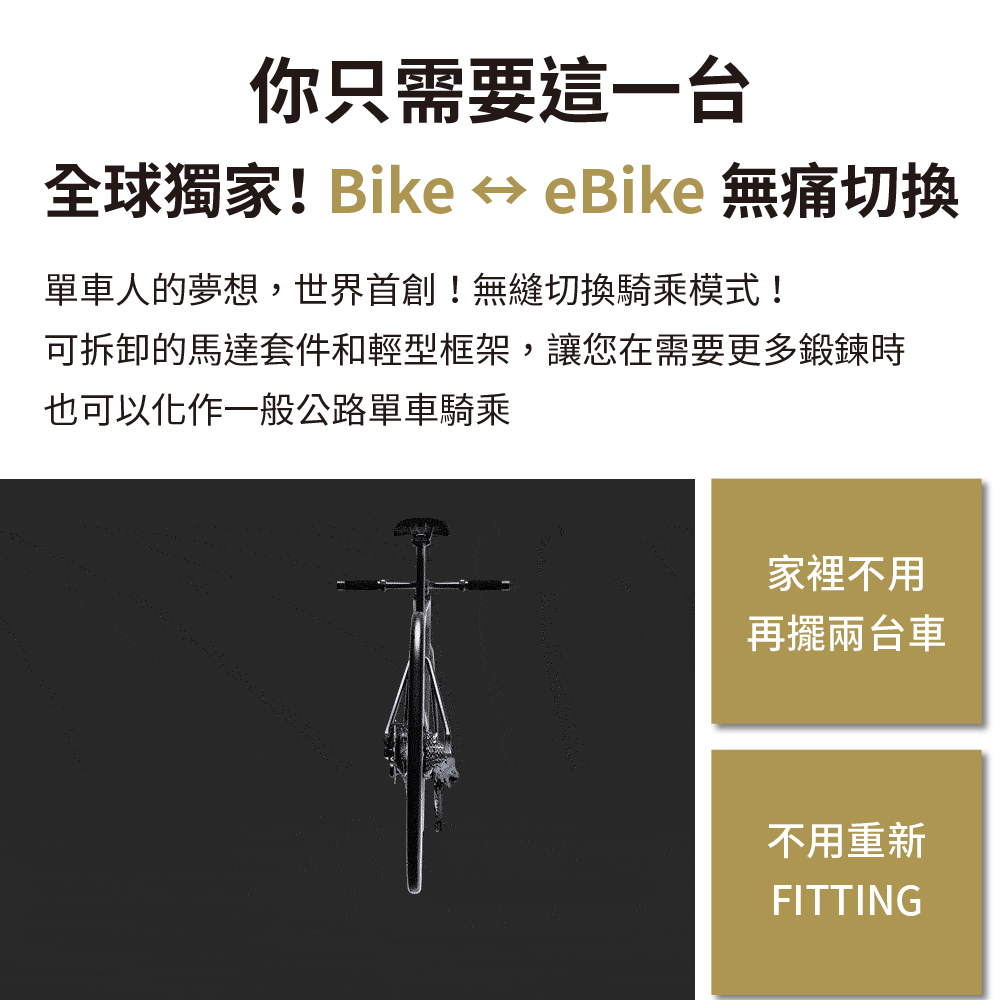 【CyberCycle】R3 - Urban Racer 百分百內走線 碳纖維極速平把公路電輔車