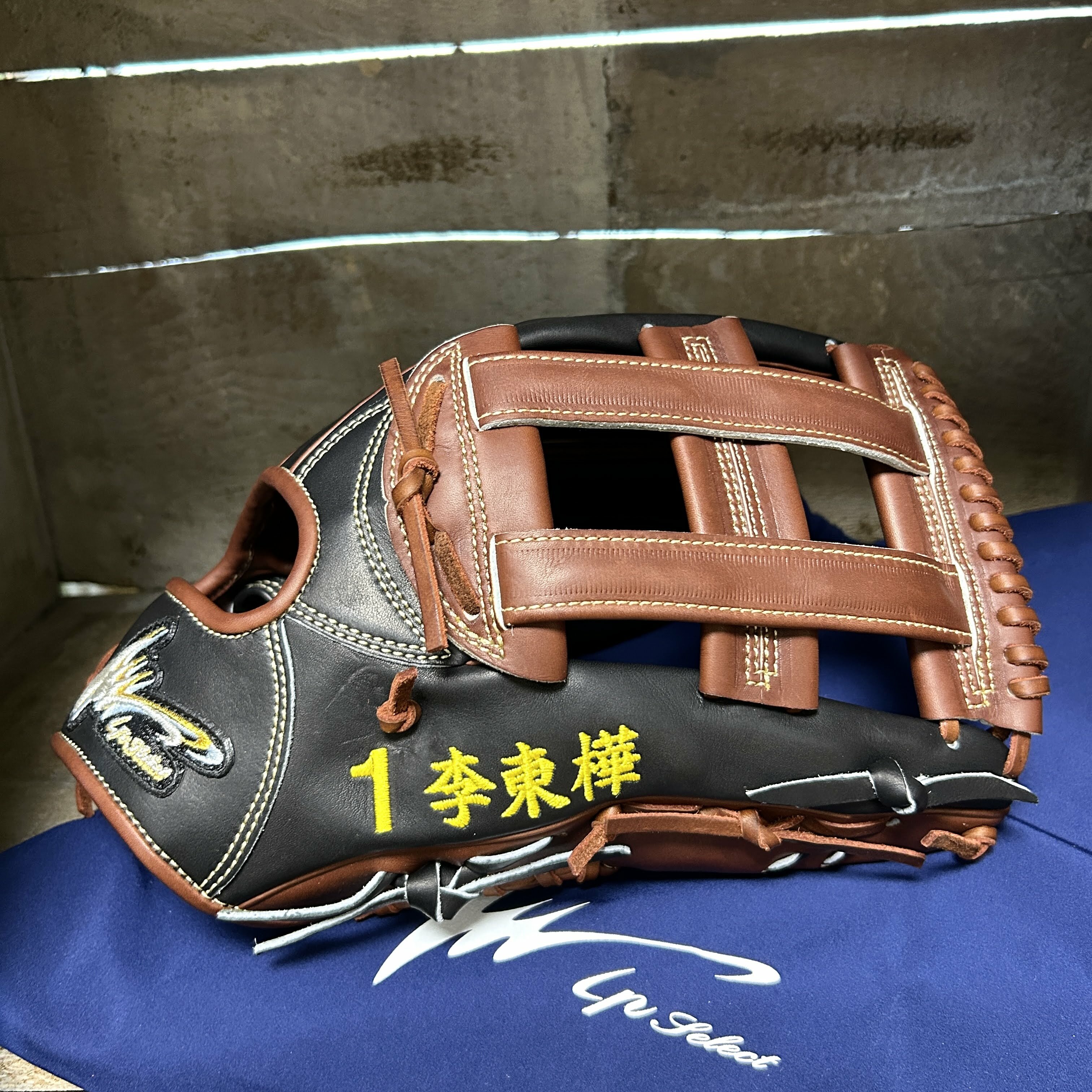 照片分享】Ip Select 硬式外野Ip.003-Lc