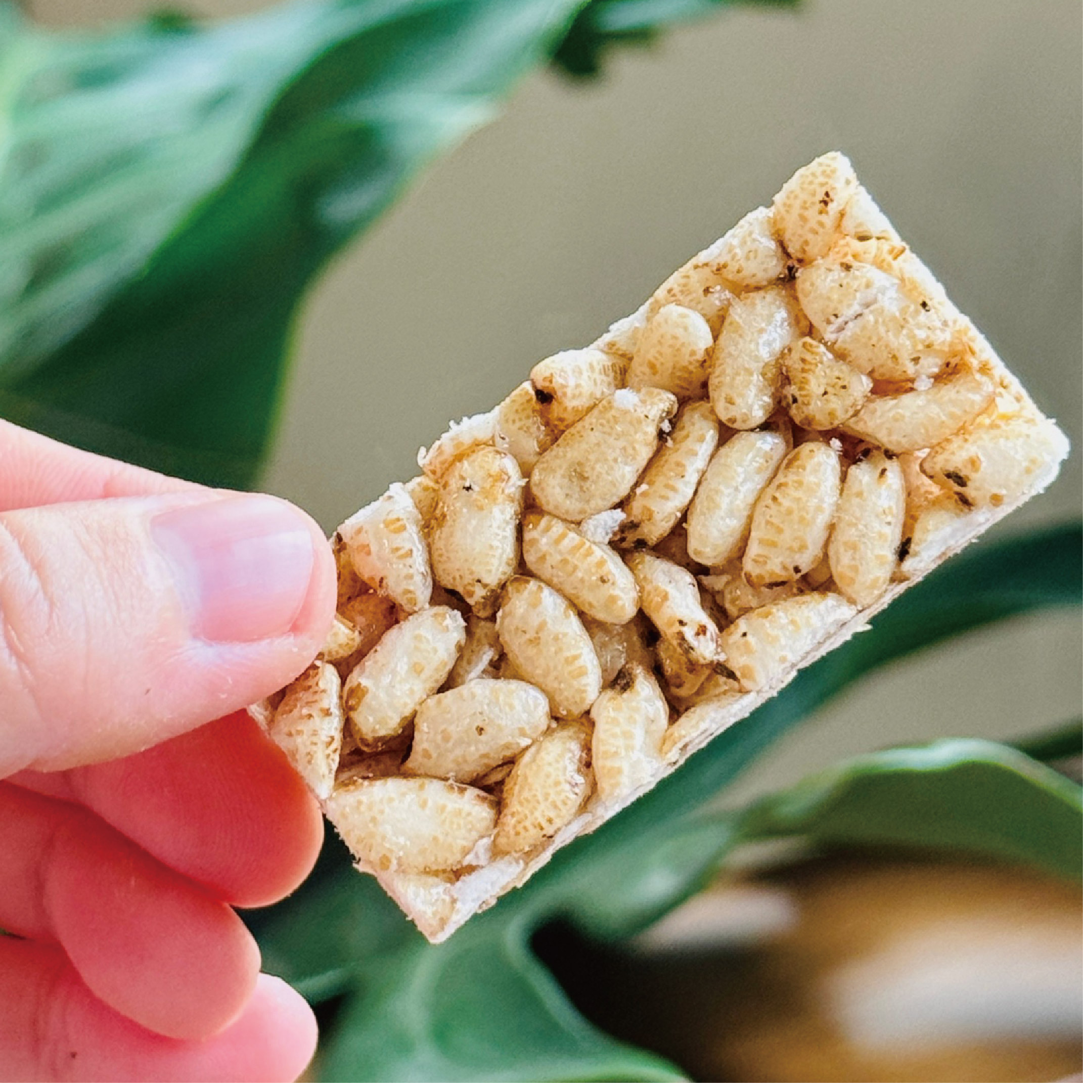 阿瑋米香-糙米米香棒(全素)