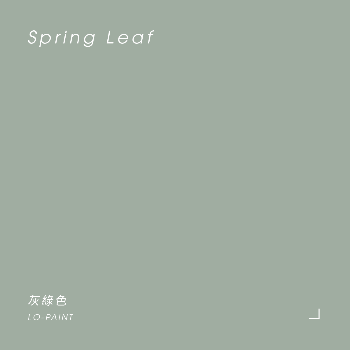 灰綠色 Spring Leaf｜風格油漆