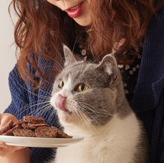 K-PET 毛孩乾杯-乾杯老饕級 牛舌小曲奇