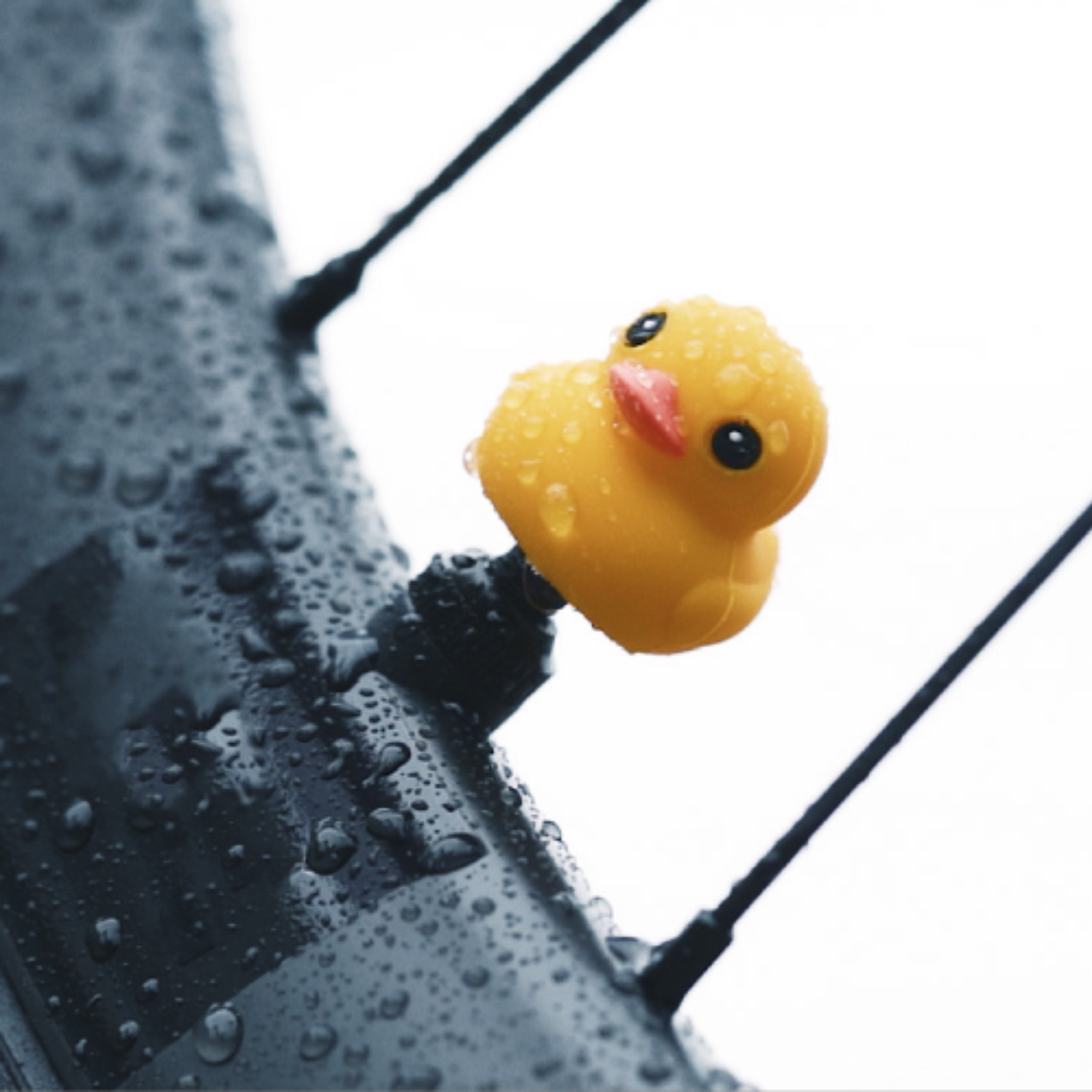 【Bone】超可愛動物矽膠氣嘴塞 - 派提鴨 Patti Duck / 2入一對