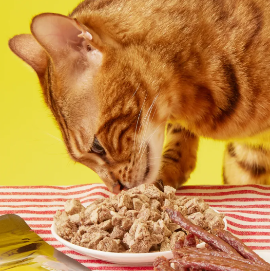 K-PET 毛孩乾杯-乾杯老饕級 牛舌原肉凍乾