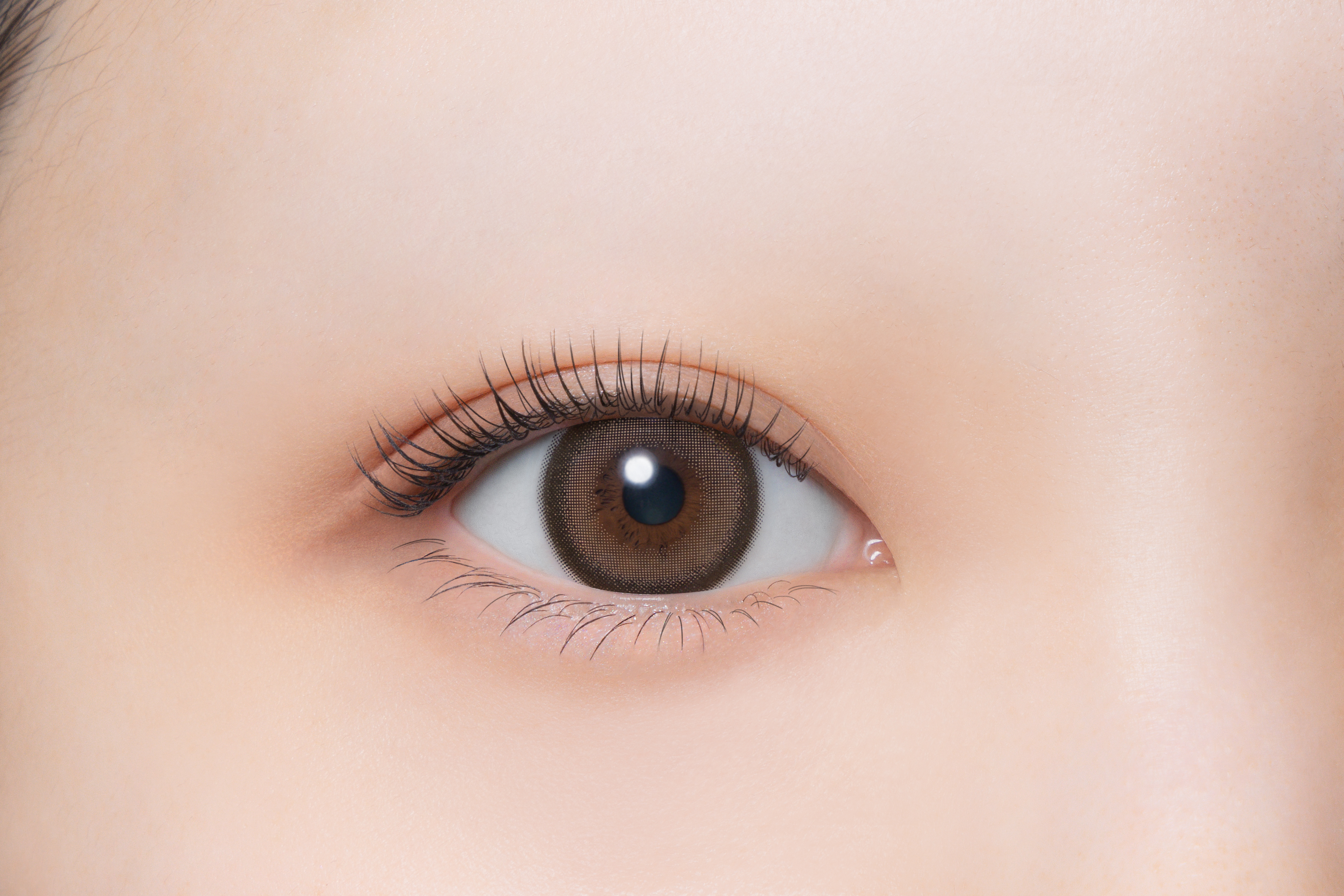 Melloew 1Day Color Contact Lens 每日即棄有色隱形眼鏡 10片 Cotton Ring