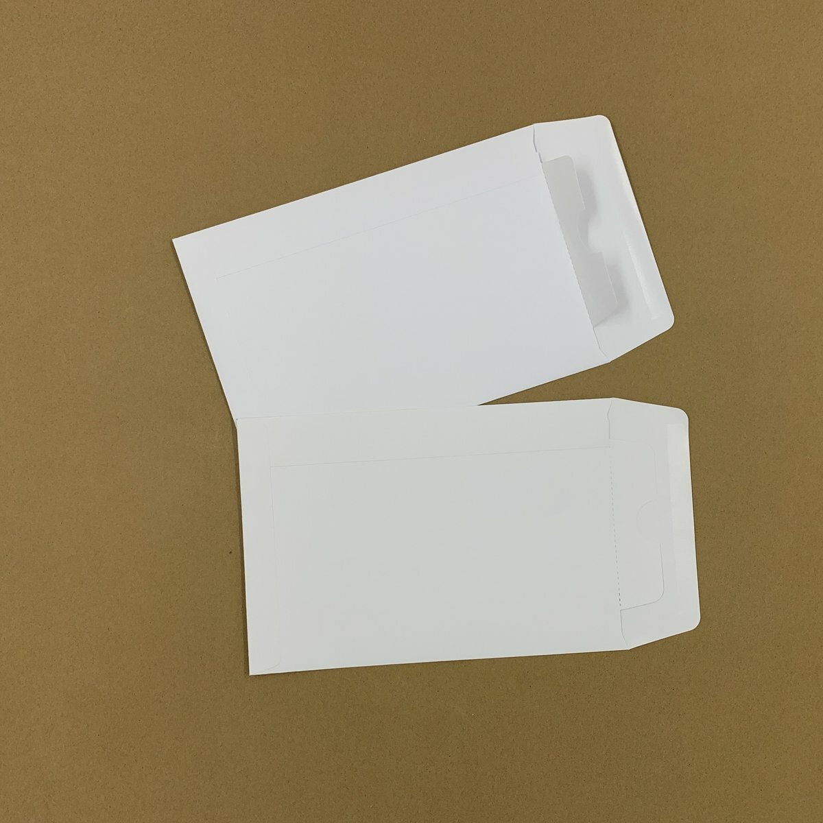 6"X 9"  純白紙封公文袋 ( 5個）