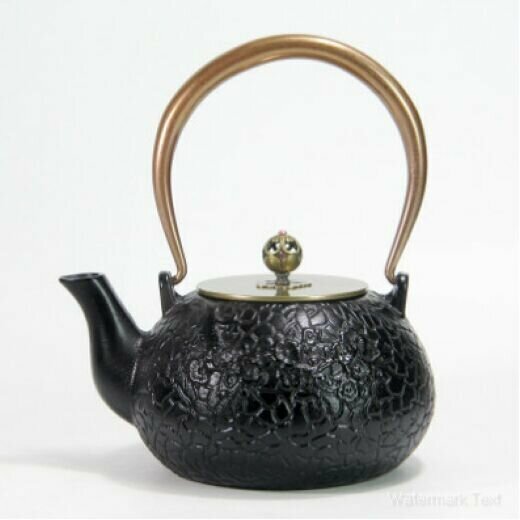 熱推鐵壺燒水泡茶茶壺（素雅傲梅)