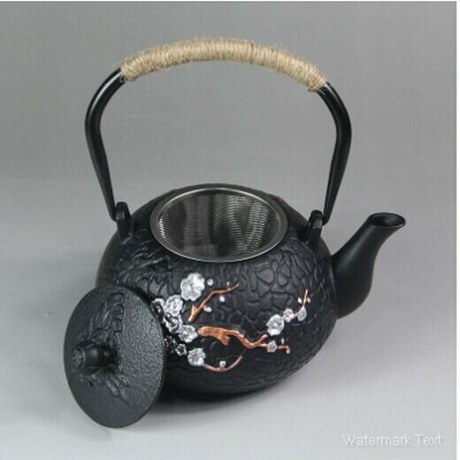 熱推傲梅鐵壺茶壺（鐵蓋款彩繪傲梅【帶過濾網】)