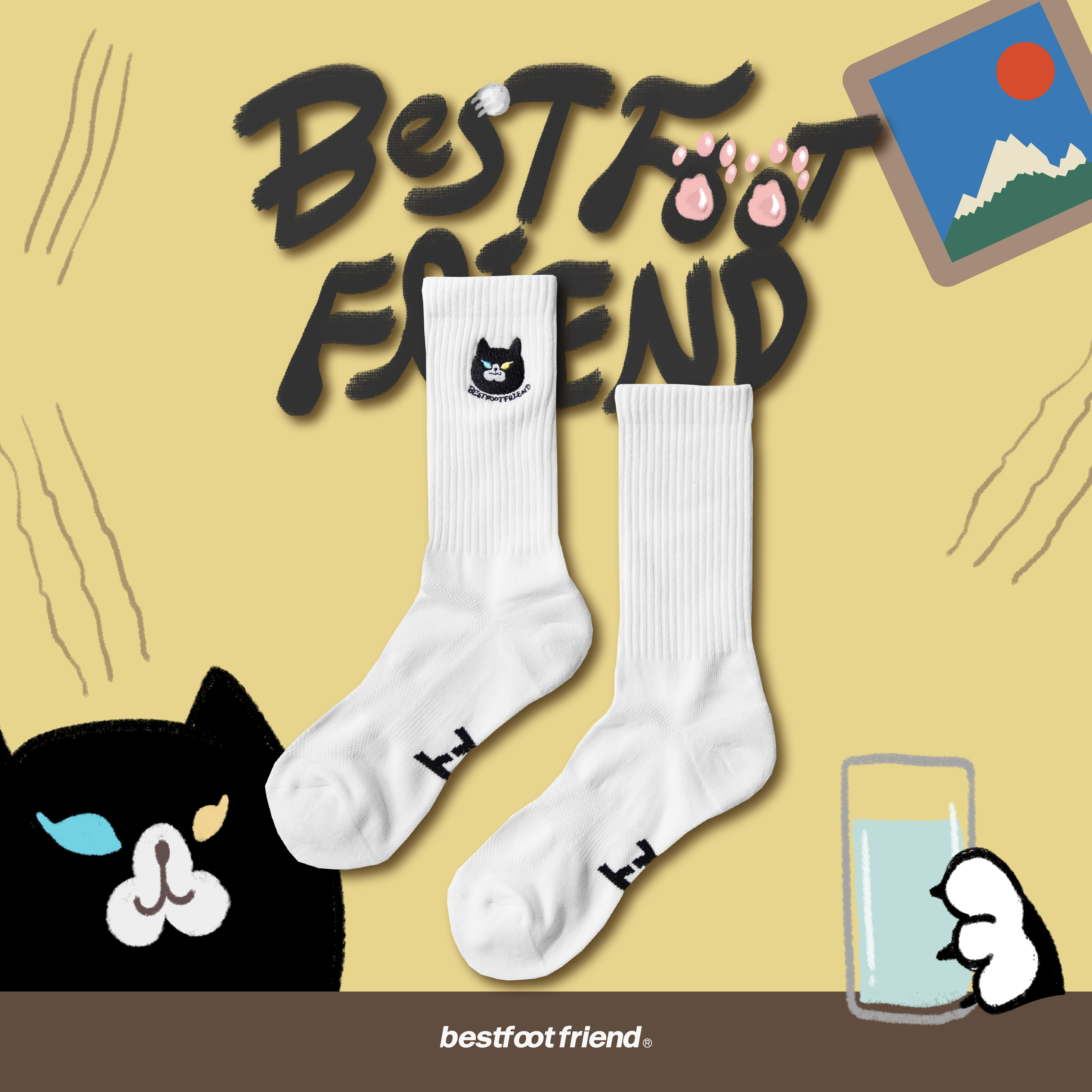 【Focus Store】現貨秒發 BFF Lord Cat "Black" 黑貓 BF23013-BK