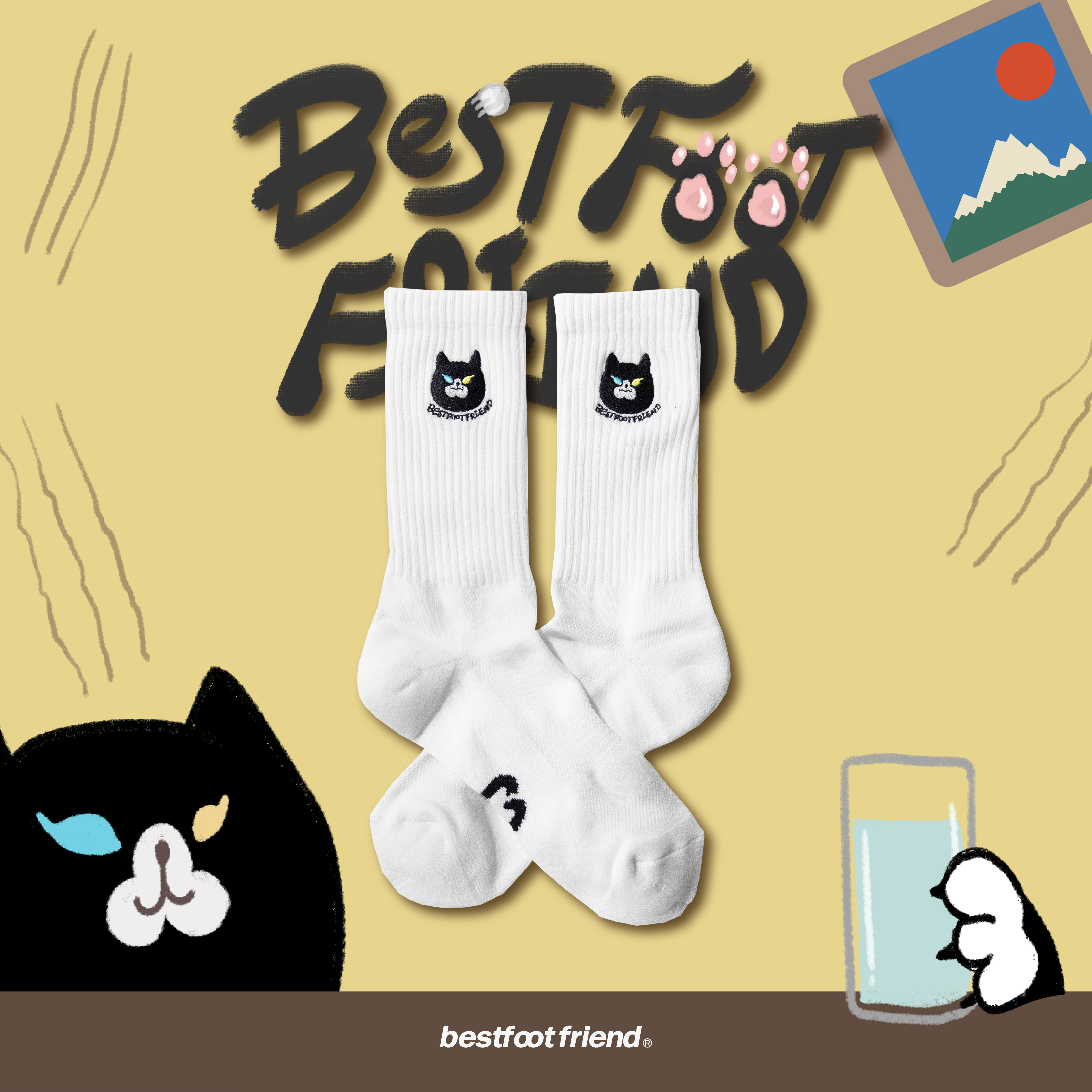 【Focus Store】現貨秒發 BFF Lord Cat "Black" 黑貓 BF23013-BK