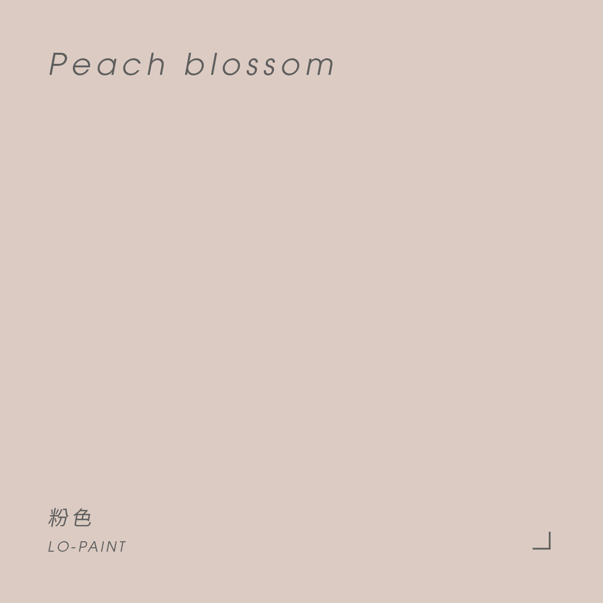 粉色 Peach blossom｜風格油漆