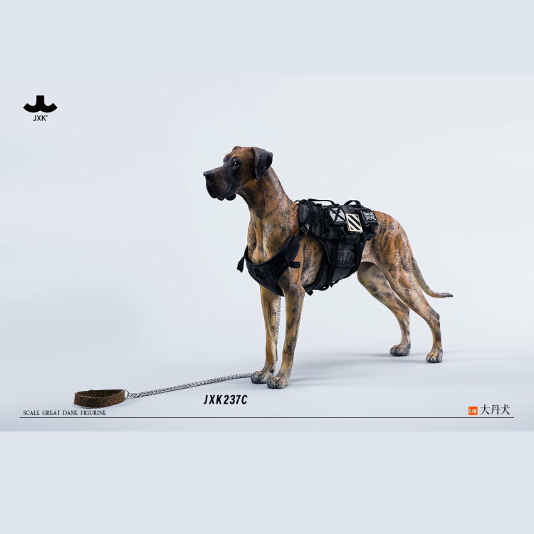 [訂金] JXK Studio : 1/6 大丹犬 C