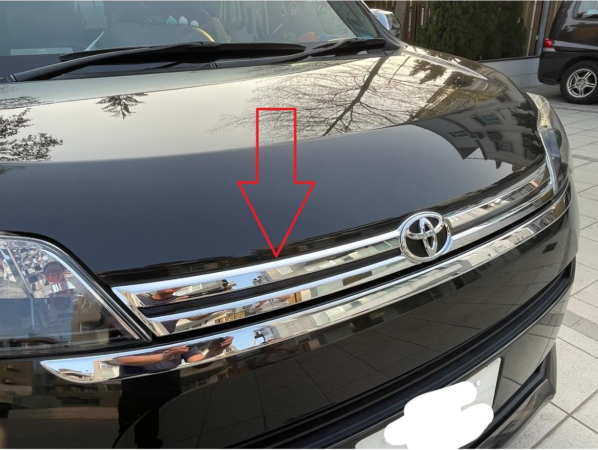 Spade F Queen 版電鍍鬼面