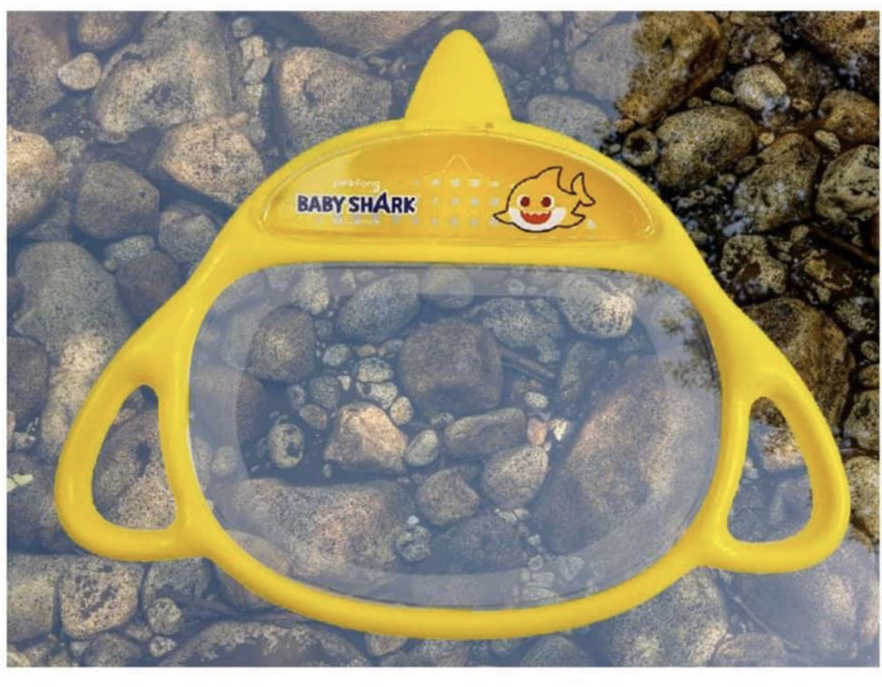 韓國直送 Baby shark沙灘玩具/海洋生物觀察盒/生態觀察箱