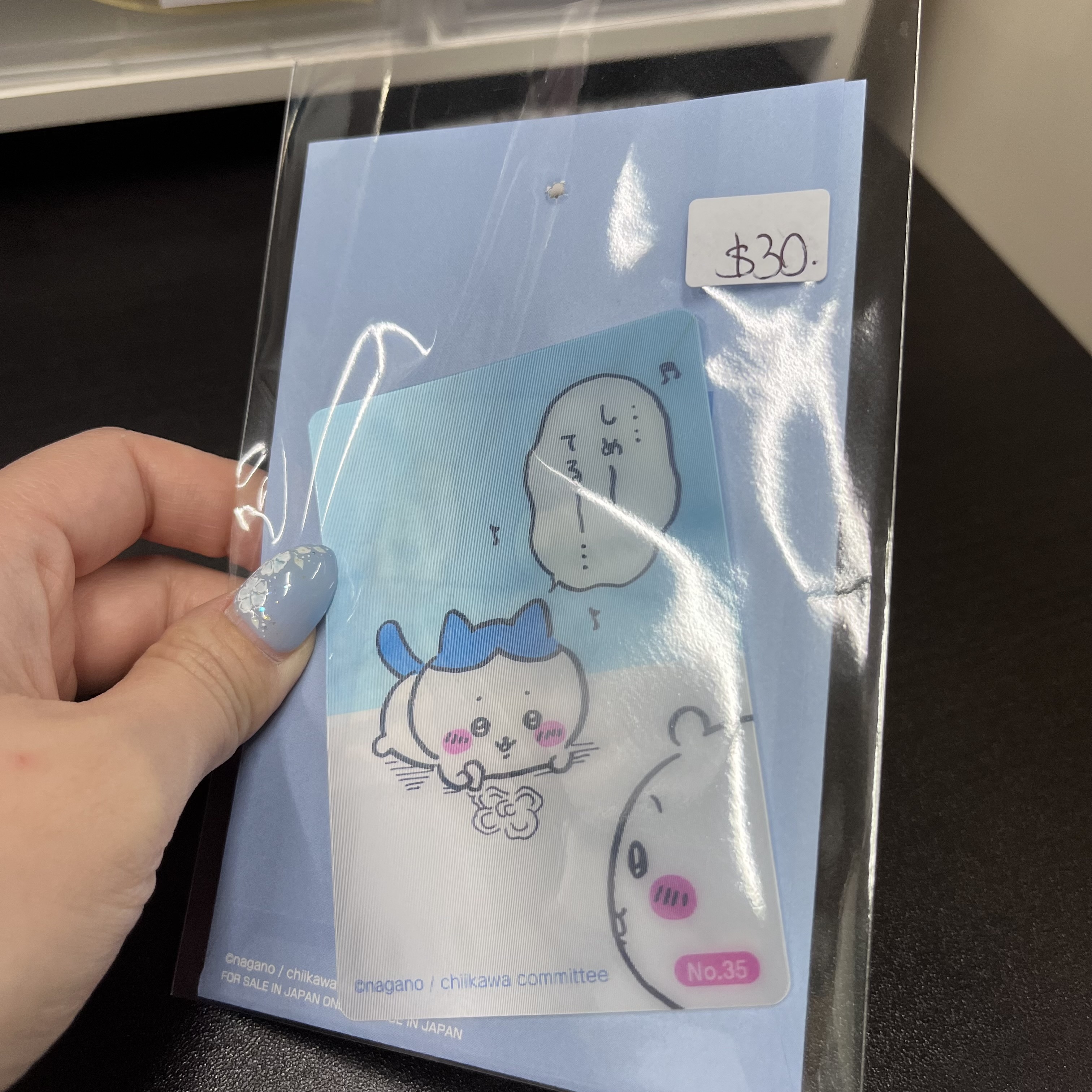 CHIIKAWA  3D  小卡#69