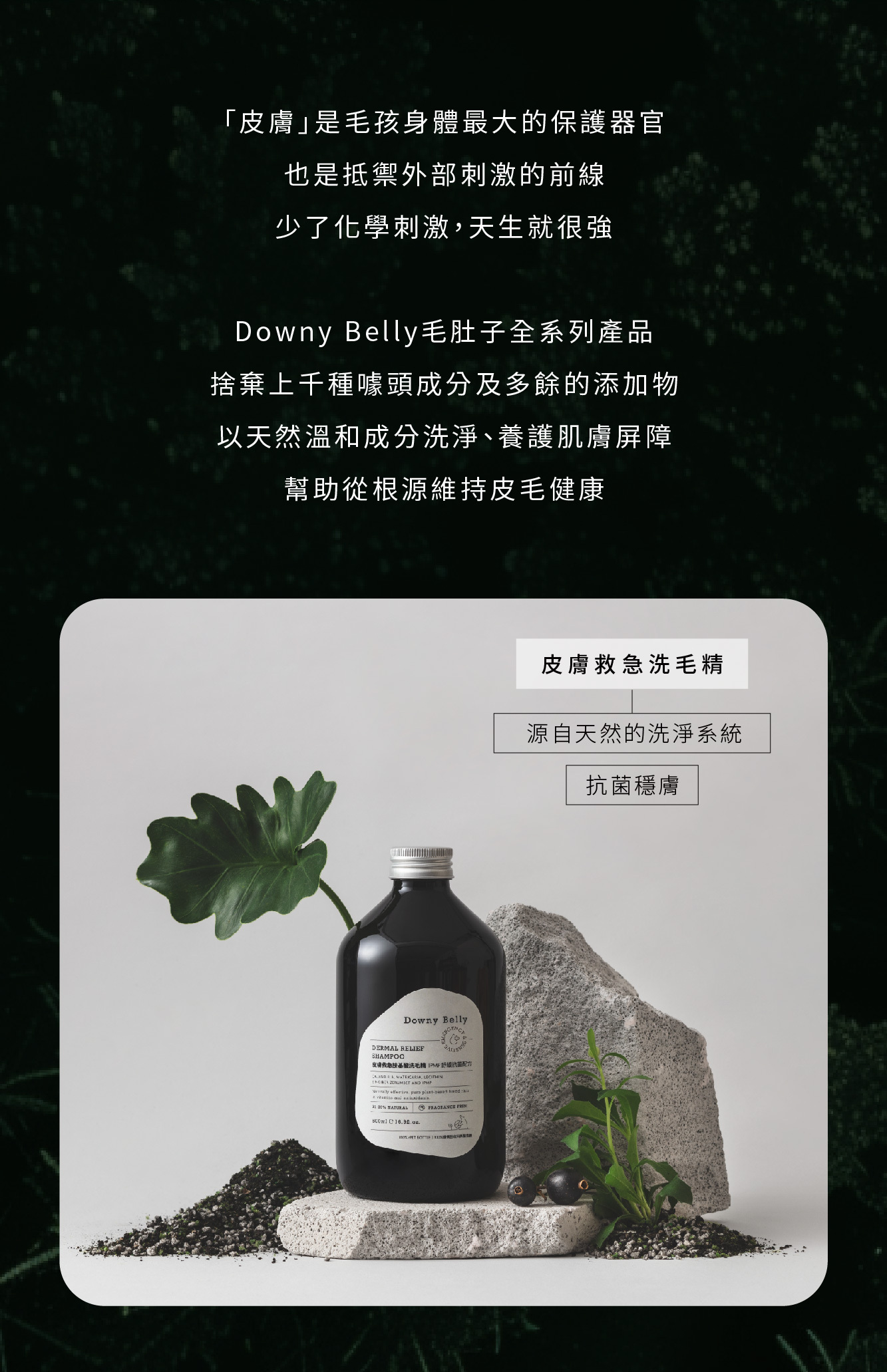 捨棄多餘添加物，天然成分的洗毛精推薦