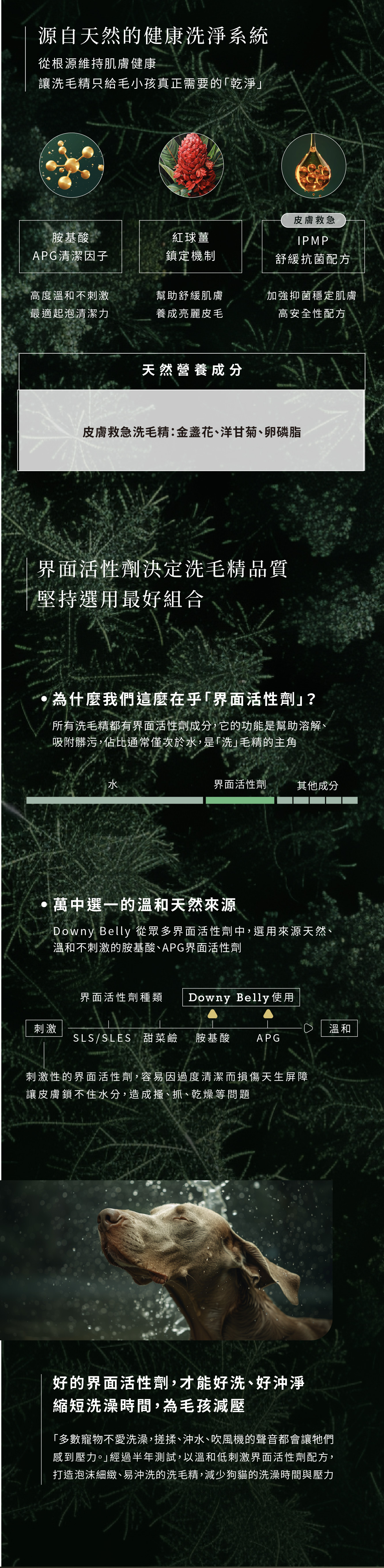 天然的抗菌洗毛精