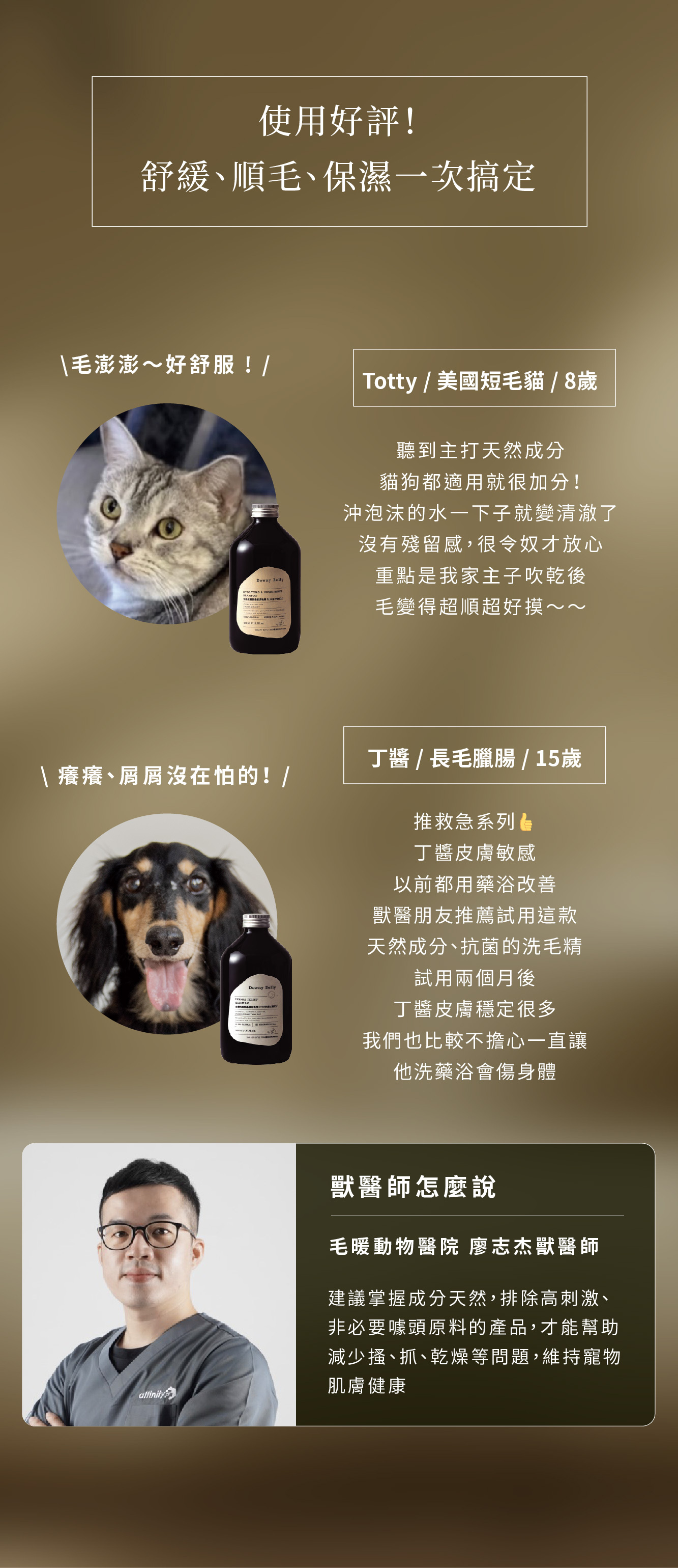 專業獸醫師推薦的寵物抗菌洗毛精