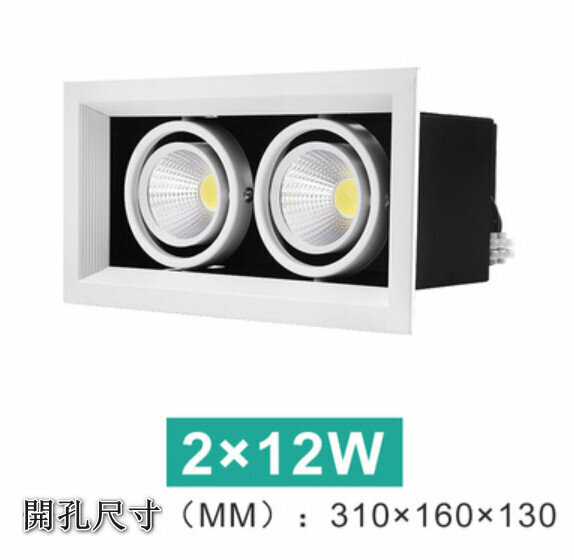 爆款LED天花筒燈【2*12W】【白光】 