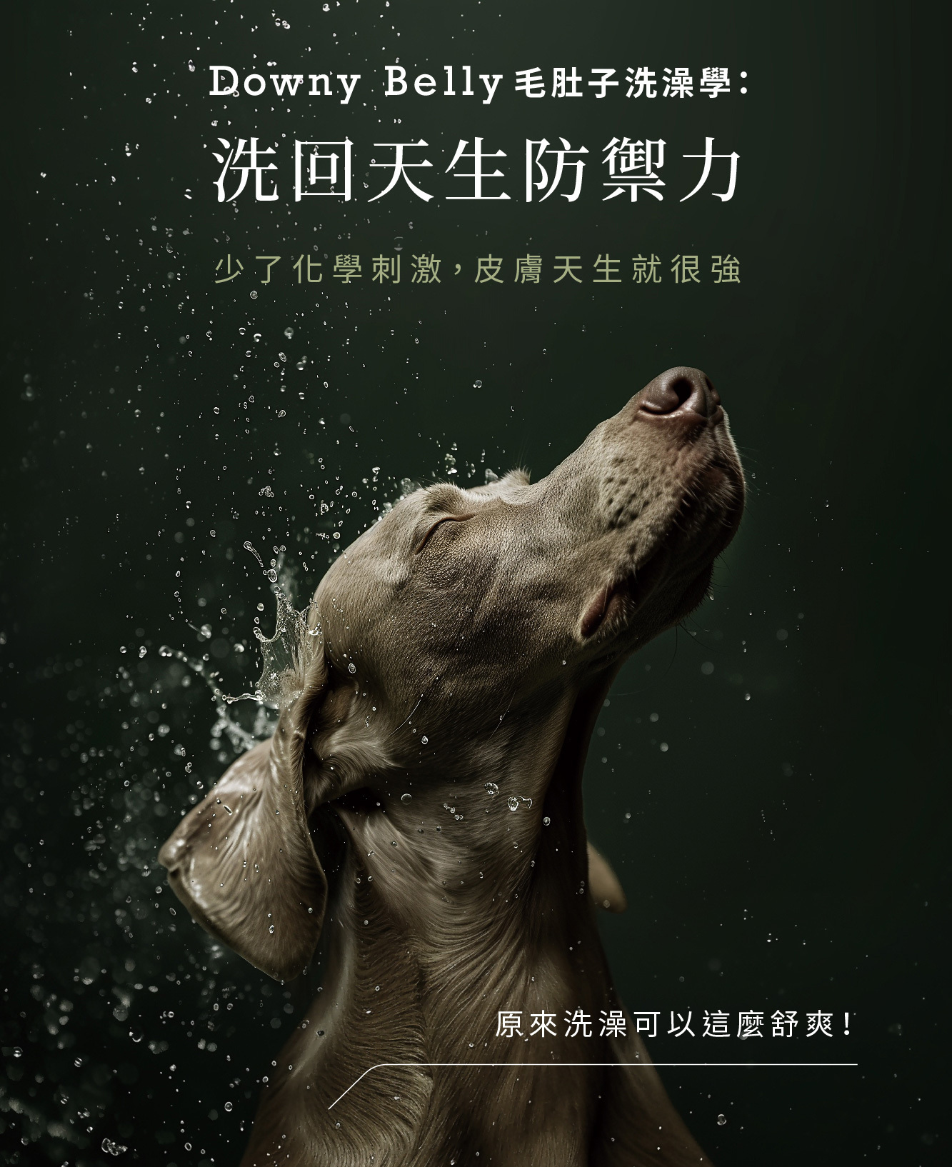 天然寵物低敏沐浴乳推薦