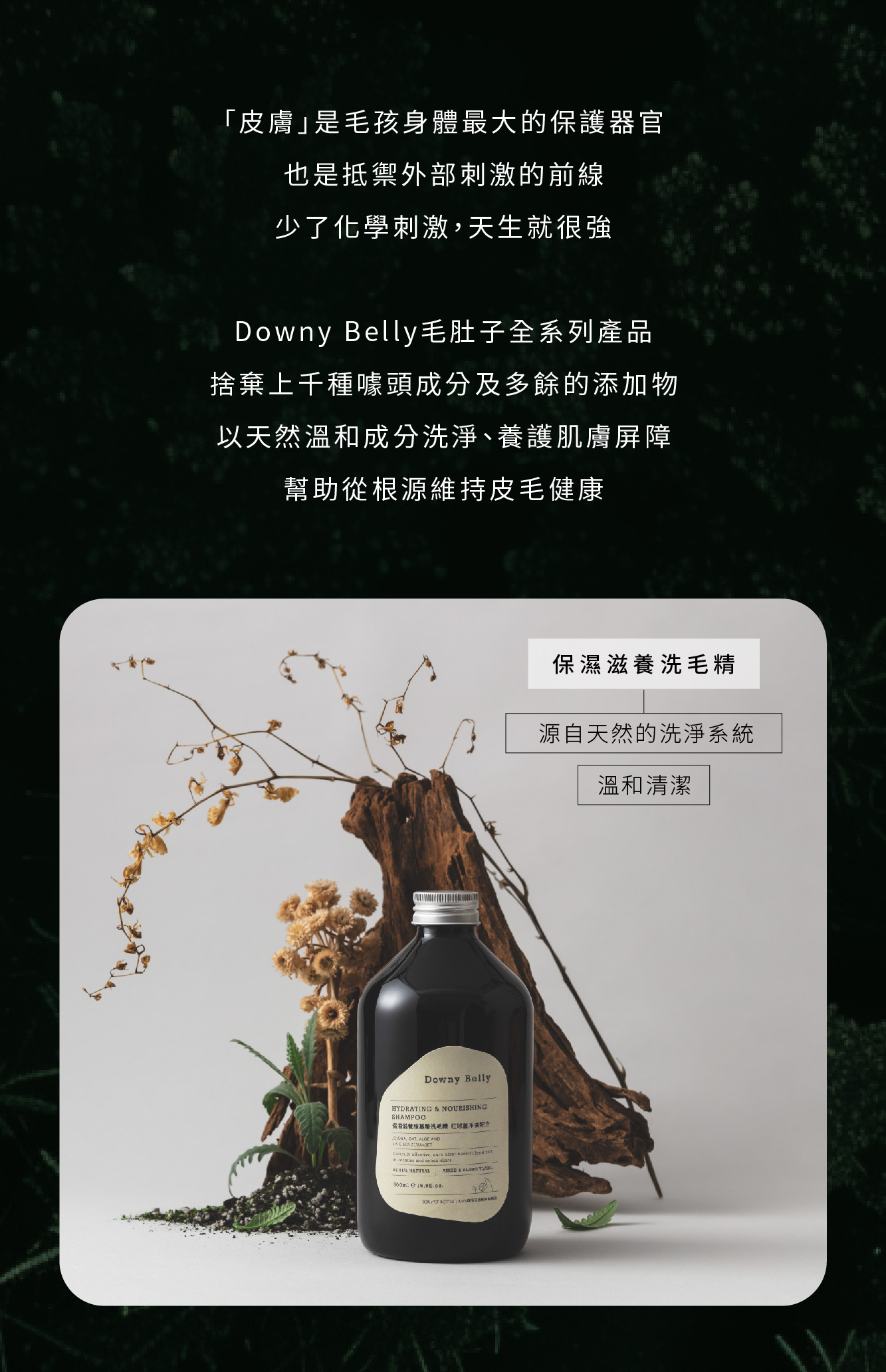 捨棄多餘添加物，天然成分的低敏洗毛精推薦