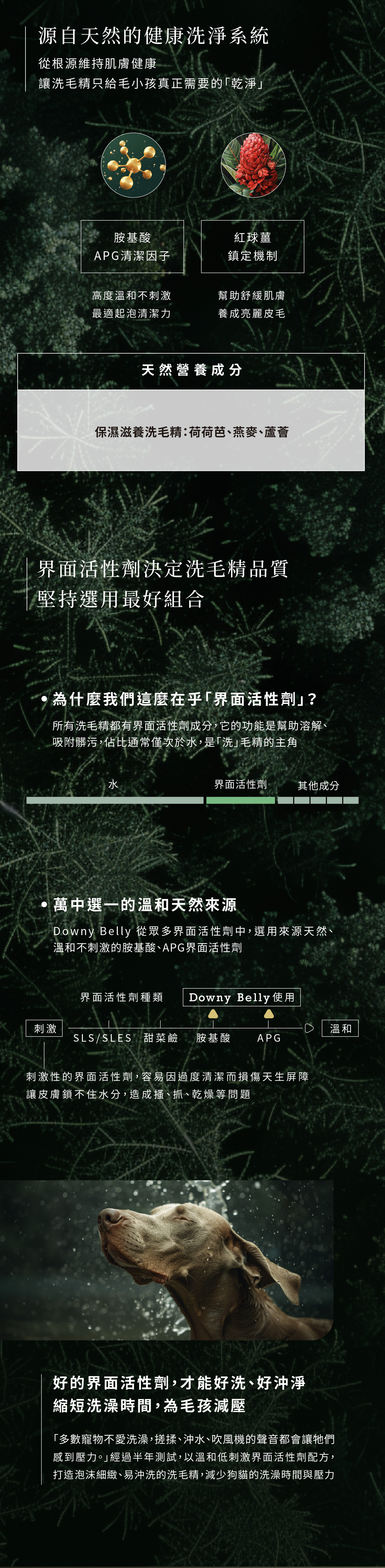 天然的狗狗貓咪低敏洗毛精