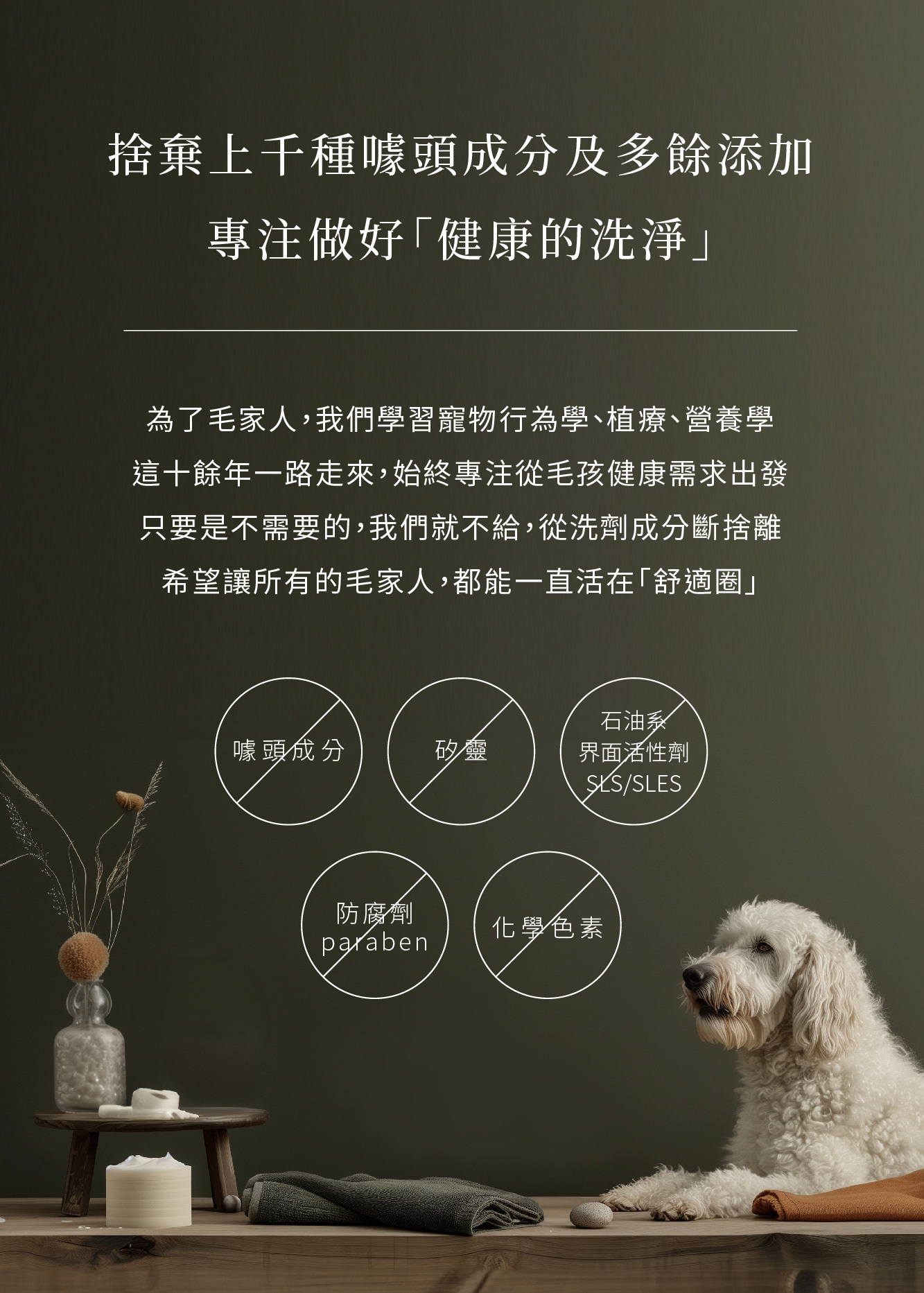 專為台灣濕熱氣候設計，低敏寵物洗毛精