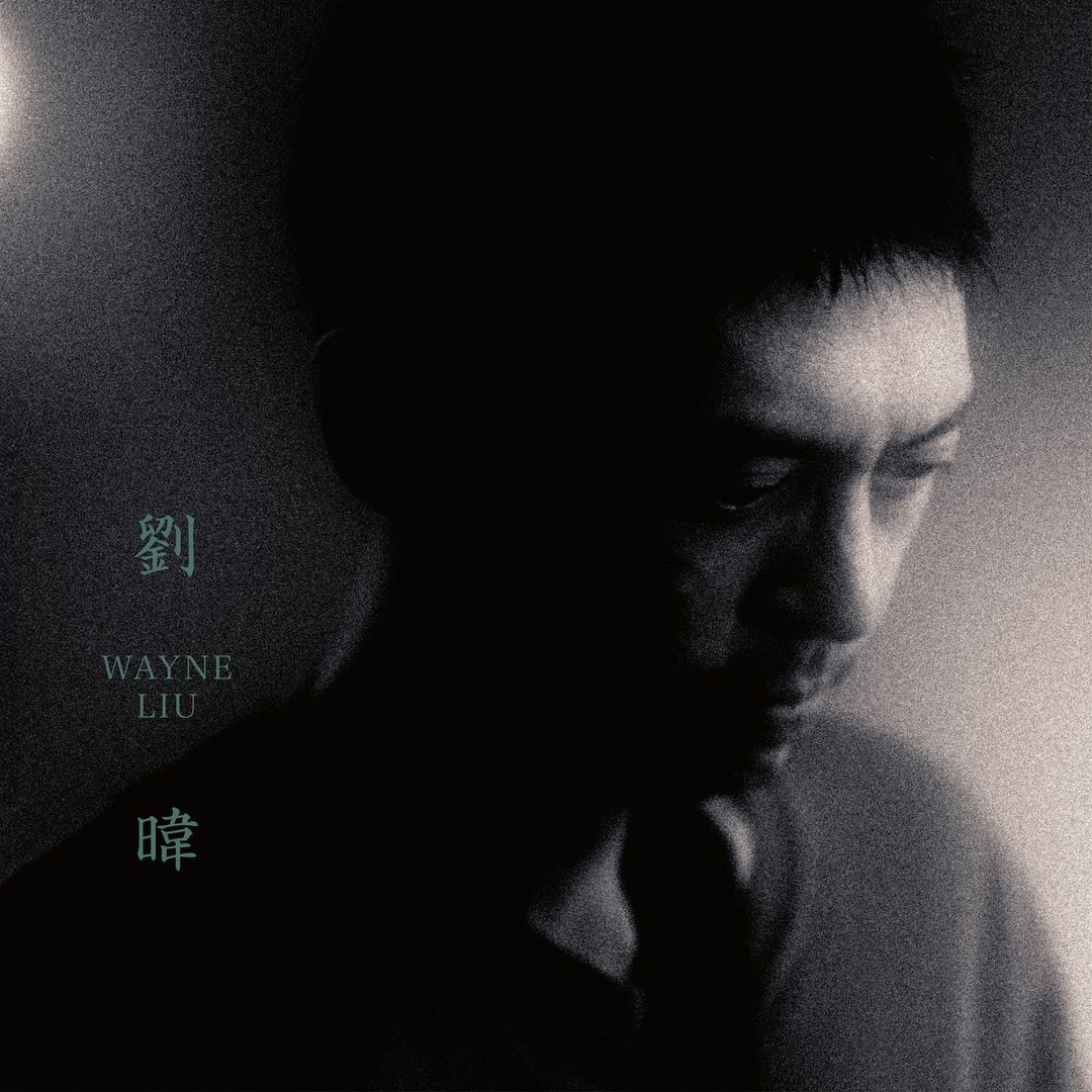 劉暐《劉暐個人專輯》（CD）